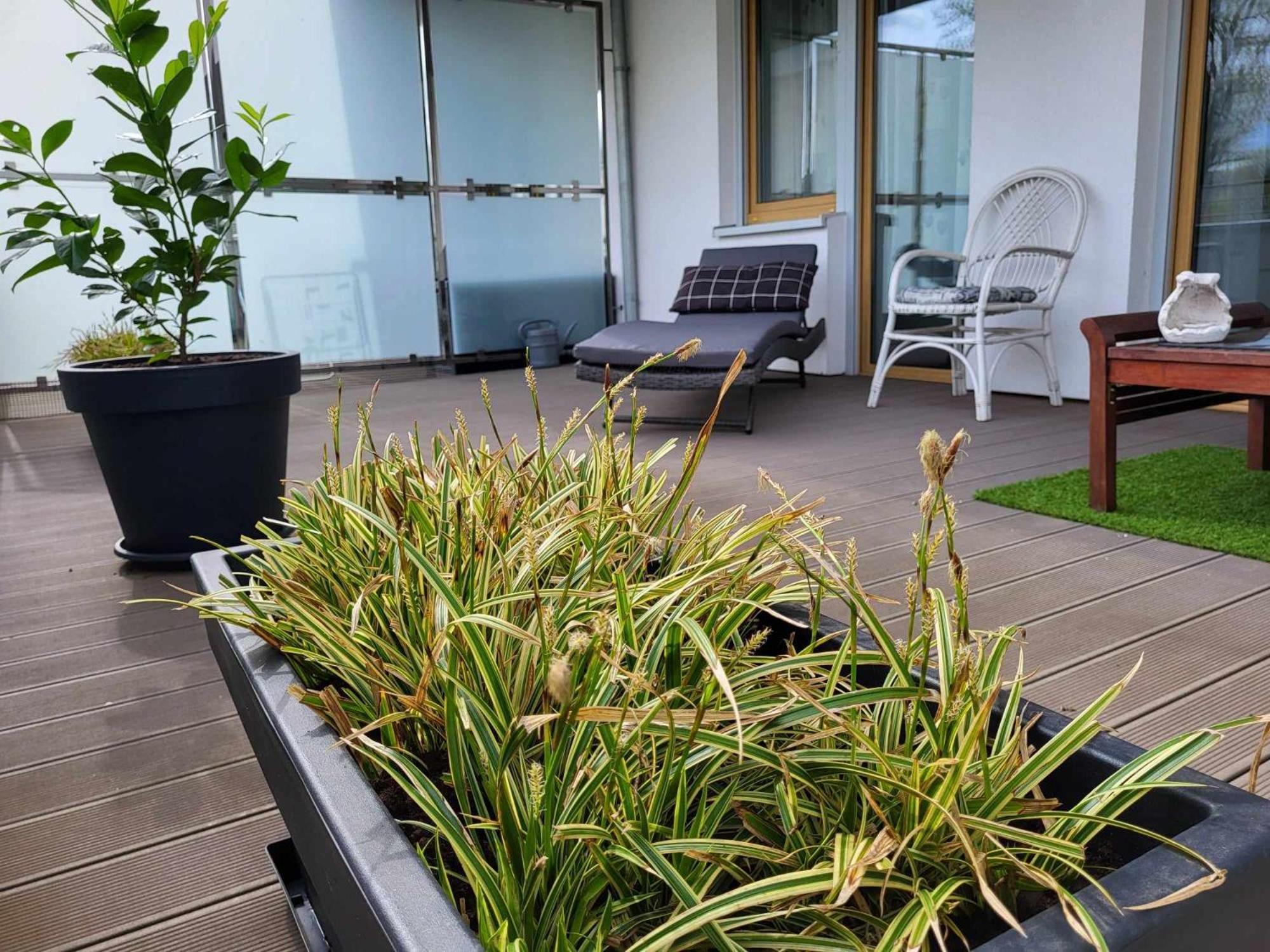 Apartament - Miodowy Dom - Exspanse Kołobrzeg Zewnętrze zdjęcie
